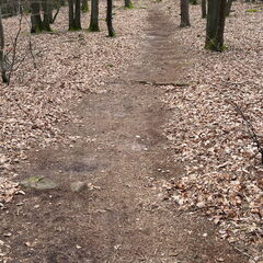 23-03-05 11-58-43 4748